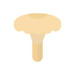 Flat Illustration of Lactarius