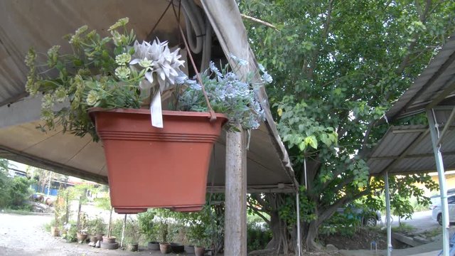 [4K] Still Shot of Hanging Flower Vase