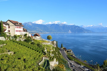 View from Lavaux