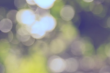 Abstract natural green bokeh out of focus