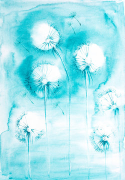 Watercolor illustration of blue dandelions field