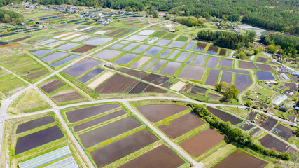 Spring paddy field seen from the sky in Japan C