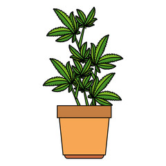 cannabis plant in pot icon