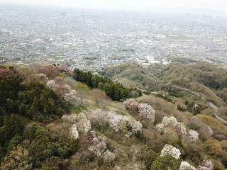 view of mountains