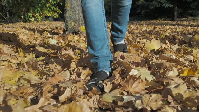 Walk through the yellow leaves. Legs walking on yellow autumn leaves.