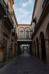 Fototapeta na wymiar Portal de la ciudad de León