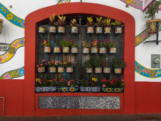 Macetas adornando la ventana