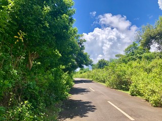 Views of sea seen from the top of hill.  It is very beautiful. it is for wallpapers or background.