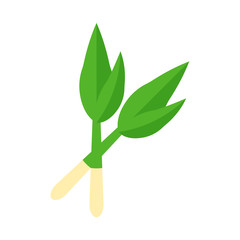 Ramson Illustration