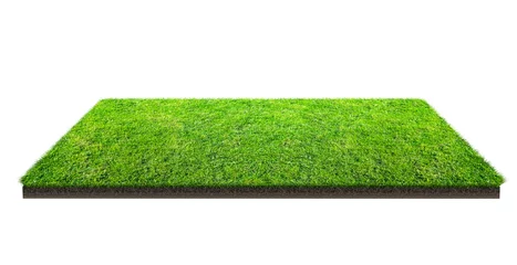 Foto auf Acrylglas Gras Green grass field isolated on white with clipping path. Sports field. Summer team games.