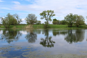 Fototapeta na wymiar Turtle Pond at Midewin National Tallgrass Prairie