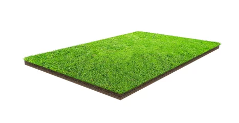 Papier Peint photo autocollant Herbe Green grass field isolated on white with clipping path. Sports field. Summer team games.