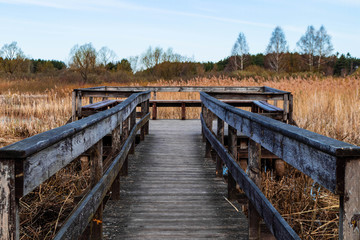 Obraz premium Bridge