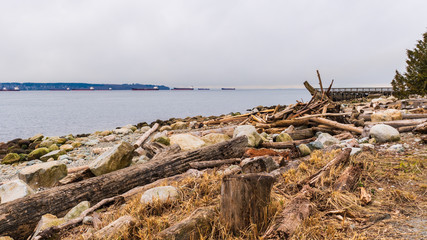 Natural Beach at Amb;eside Seawall walk in West Vancouver, BC - winter