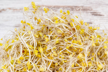 Healthy broccoli sprouts containing natural vitamins and minerals
