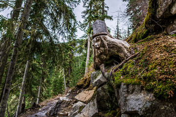 wild nature forest in Joffre Lakes Provincial Park British Columbia Canada.