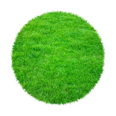 Abstract green grass texture for background. Circle green grass pattern isolated on white background with clipping path.