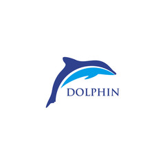 Dolphin logo design vector template