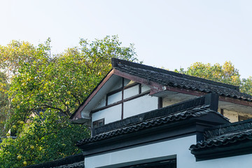 roof of the house