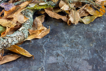 autum leaves on rustic background