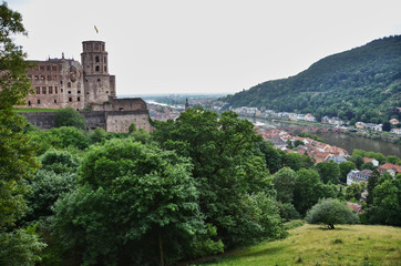 Fototapeta na wymiar Heidelberg Valley View Germany