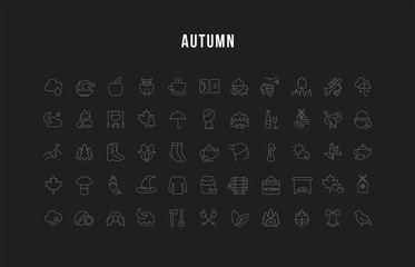 Set Vector Line Icons of Autumn