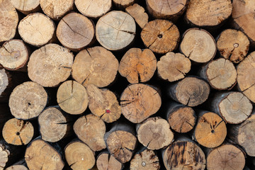 The firewood stack is arranged in a wall background