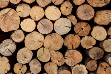 The firewood stack is arranged in a wall background