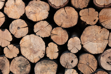 The firewood stack is arranged in a wall background
