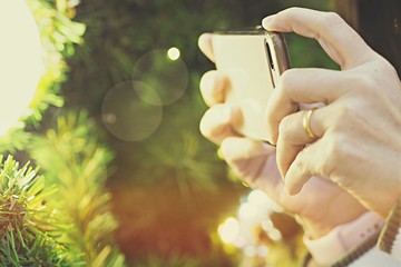 People using technology smartphone closeup Christmas tree blur background