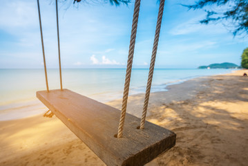 image of swing hang on pine tree.