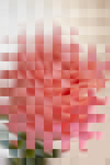 Roses pixel floral pattern