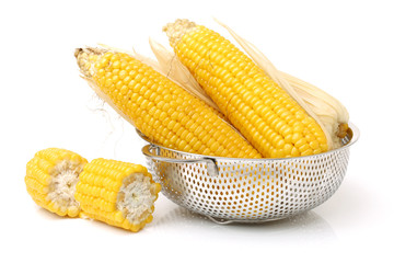 Boiled corn on white background