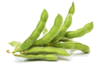 Fresh harvested soybean (edamame) plant isolated on white background