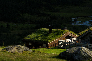 Fototapeta na wymiar Traditional sod roof a on log cabin, in Norway