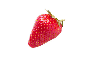 Single strawberry fruit isolated on white background