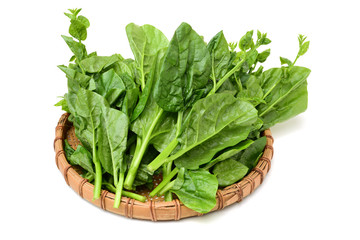 Thai malabar isolated on white background