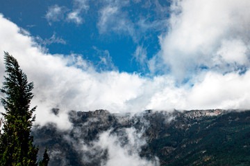 The clouds descended from the sky and enveloped the mountains. Only evergreen cypress is inaccessible to the cloud. Green cypress trees against the blue sky and mountains in the clouds.