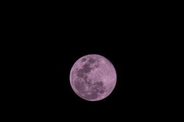 Pink Moon Full moon for Easter