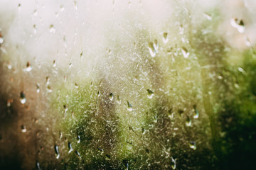 drops of autumn rain accumulated on the clear glass; outside the greenery