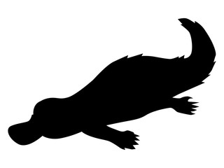 silhouette of platypus
