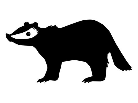silhouette of badger