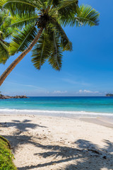 Plakat Vacation beach with coconut palm and turquoise sea. Summer vacation and tropical beach concept. 