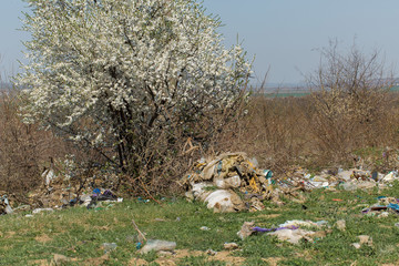 Plastic bags and bottles in a landfill. Unauthorized release of garbage, pollution of nature. The concept of environmental disaster.
