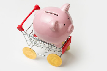 Pig piggy bank on grocery cart with Bitcoin wheels. The concept of technological breakthrough, online shopping.	