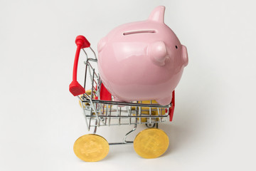 Pig piggy bank on grocery cart with Bitcoin wheels. The concept of technological breakthrough, online shopping.	