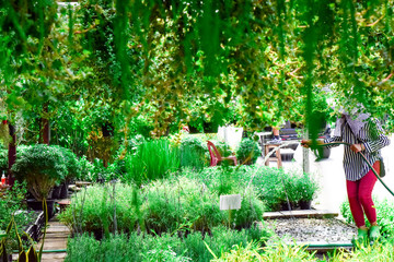 Workers are watering plants in the garden