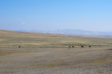 Obraz premium ホスタイ国立公園の大パノラマ