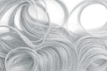 Curly gray hair as background, texture. One of the popular shades of hair coloring