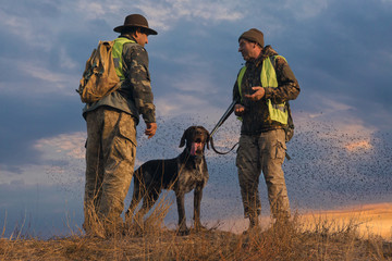 Hunters with a german drathaar and spaniel, pigeon hunting with dogs in reflective vests	